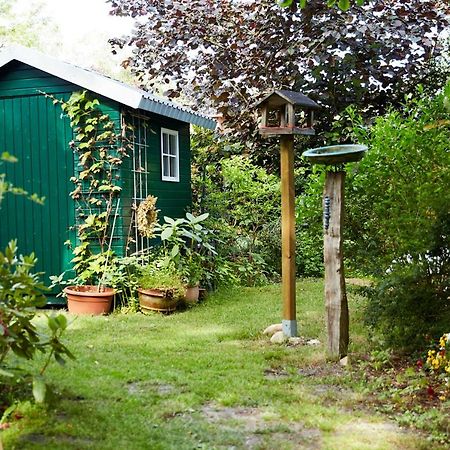 Bed & Breakfast Wesseloh Schneverdingen Esterno foto